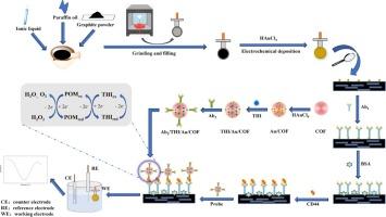 A novel sandwich electrochemical immunosensor utilizing customized template and phosphotungstate catalytic amplification for CD44 detection