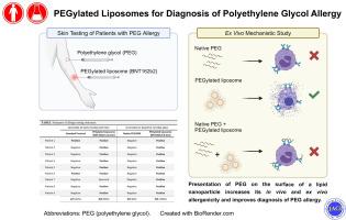 PEGylated liposomes for diagnosis of polyethylene glycol allergy