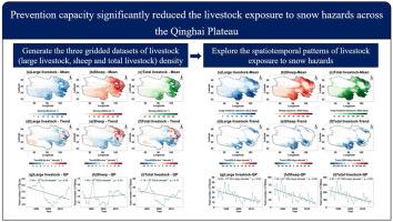 Prevention capacity significantly reduced the livestock exposure to snow hazards across the Qinghai Plateau