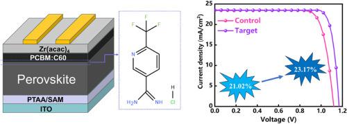 Surface passivation enables efficient and stable inverted perovskite solar cells by 6-(Trifluoromethyl)pyridine-3-amidinehydrochloride