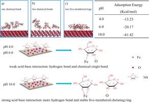 A novel interaction theory for the starch adsorption onto hematite surface