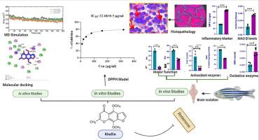 Antiparkinson potential of khellin on retinone-induced Parkinson's disease in a zebrafish model: targeting MAO, inflammatory, and oxidative stress markers with molecular docking, MD simulations, and histopathology evidence