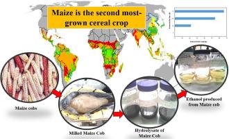 Utilization of local corn (Zea Mays) wastes for bioethanol production by separate hydrolysis and fermentation