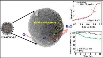 Nitrogen and sulfur incorporated chitosan-derived carbon sphere hybrid MXene as highly efficient electrocatalyst for oxygen reduction reaction