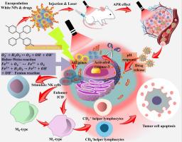 Stimuli-responsive nanotheranostic systems conjugated with AIEgens for advanced cancer bio-imaging and treatment