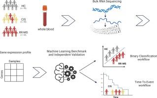 Machine learning-driven diagnosis of multiple sclerosis from whole blood transcriptomics