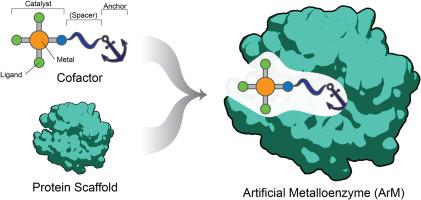 Recent advances in the design and optimization of artificial metalloenzymes