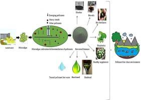 Phycoremediation of emerging contaminants and heavy metals from industrial wastewater: A sustainable green approach for bioeconomy