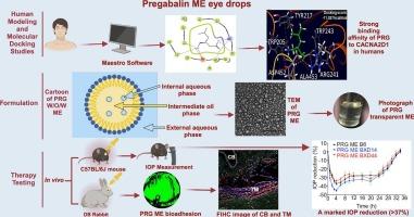 Evaluation of Pregabalin bioadhesive multilayered microemulsion IOP-lowering eye drops