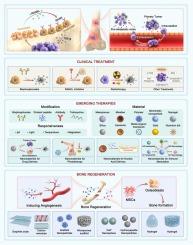 Nanomaterials for bone metastasis