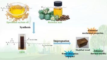 Preparation and performance evaluation of bio-based wood-plastic composites from ricinoleic acid ring-openning epoxidized soybean oil