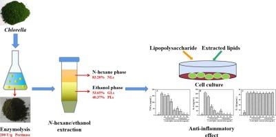 A novel enzyme-assisted n-hexane/ethanol biphasic method to extract and separate heterotrophic Chlorella lipids for anti-inflammatory activity