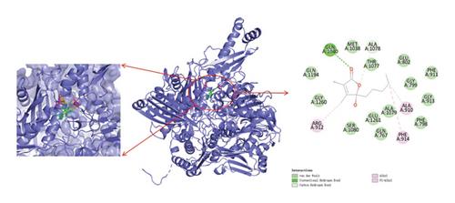 Characterization of Anoectochilus roxburghii Bioactive Compounds and Its Inhibition on the Metabolism-Related Enzyme Activities In Vitro