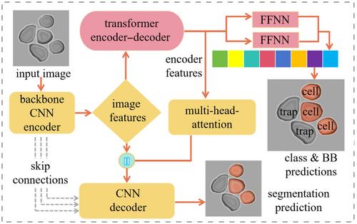 Transformer technology in molecular science