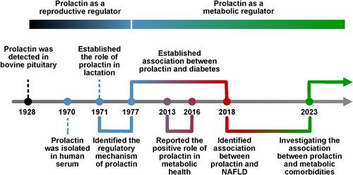 A Century of Prolactin: Emerging Perspectives as a Metabolic Regulator