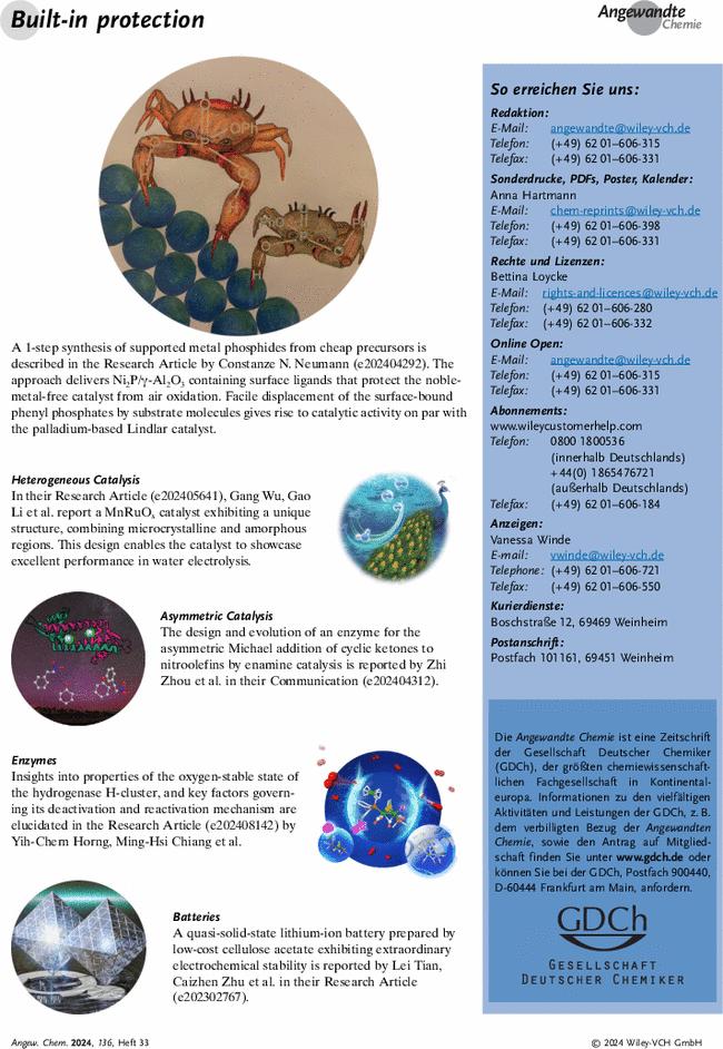 Graphisches Inhaltsverzeichnis: Angew. Chem. 33/2024