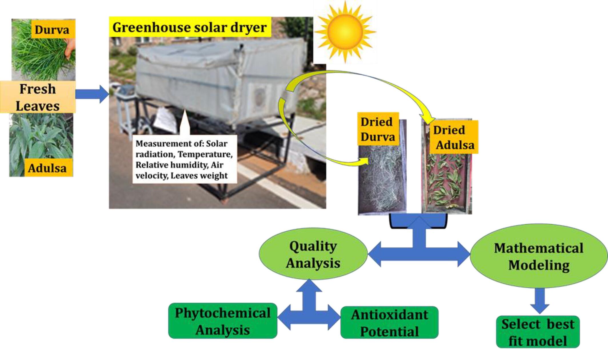 Drying kinetics (mathematical modeling) and quality evaluation of herbal leaves (Adulsa and Durva) dried in small-scale greenhouse solar dryer (GHSD): Experimental investigation and comparative analysis