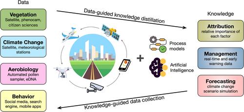 A holistic big data approach to understand and manage increasing pollen-induced respiratory allergies under global change