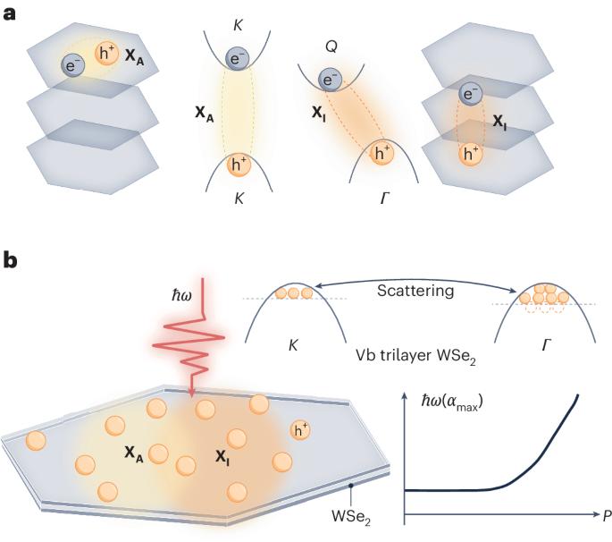 Extreme nonlinear excitonic interactions