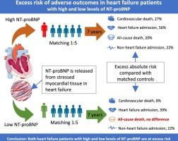 Excess long-term risk of adverse outcomes in heart failure patients with high and low levels of NT-proBNP: A 7-year follow-up study (NorthStar Trial)