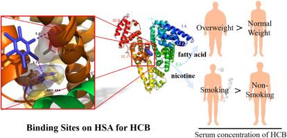 Affinity of endosulfan and HCB with human serum albumin affects serum concentrations in a general population