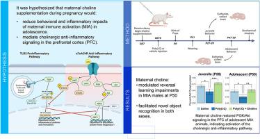 Maternal choline supplementation modulates cognition and induces anti-inflammatory signaling in the prefrontal cortices of adolescent rats exposed to maternal immune activation