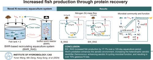 Increasing fish production in recirculating aquaculture system by integrating a biofloc-worm reactor for protein recovery