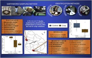 Land use effect on dominance of native and exotic earthworm species in two contrasting rural landscapes