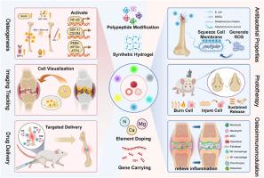 Quantum dots for bone tissue engineering