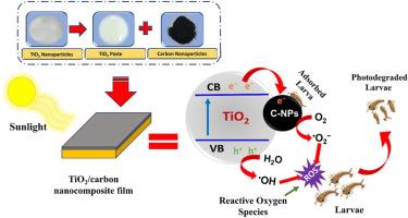 Photocatalytic Activity of TiO2-Carbon Nanocomposite Films Against Culex pipiens Mosquito Larvae Under Sunlight Irradiation