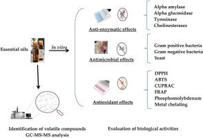 Chemical composition and bioactivity of essential oils from Cistus ladanifer L., Pistacia lentiscus L., and Matricaria chamomilla L