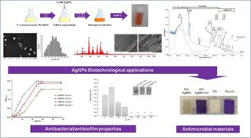 Green synthesis and antibacterial-antibiofilm properties of biogenic silver nanoparticles