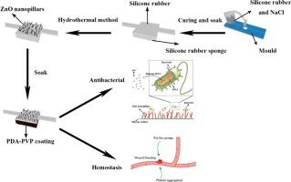 Study on hemostatic and antibacterial properties of modified silicone rubber sponge