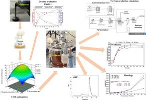 Statistical optimization, kinetic modeling, and techno-economic analysis for the production of high molecular mass dextran using sugarcane industrial waste-molasses