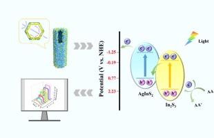 A photoelectrochemical sensor based on In2S3/AgInS2 in situ Z-type heterojunction with “photo-modulated interface charge” for sensitive detection of Programmed Death-Ligand 1