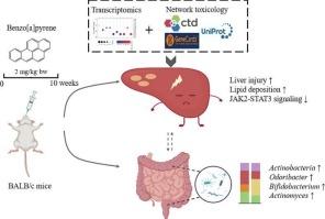 Integrated network toxicology, transcriptomics and gut microbiomics reveals hepatotoxicity mechanism induced by benzo[a]pyrene exposure in mice