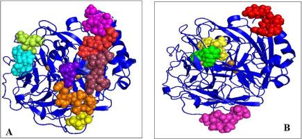 Impact of surface-active ionic solutions on the structure and function of laccase from trametes versicolor: Insights from molecular dynamics simulations