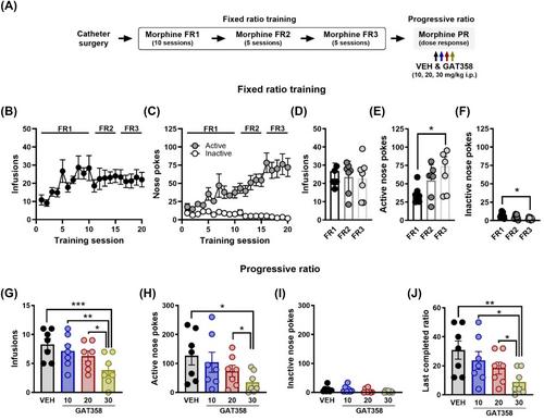 Negative allosteric modulation of CB1 cannabinoid receptor signalling decreases intravenous morphine self-administration and relapse in mice