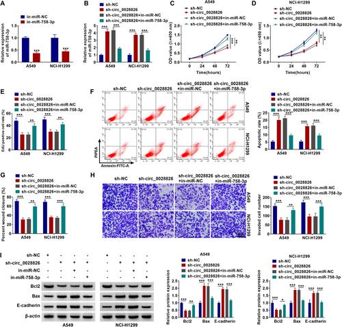 Circ_0028826 Promotes Growth and Metastasis of NSCLC via Acting as a Sponge of miR-758-3p to Derepress IDH2 Expression