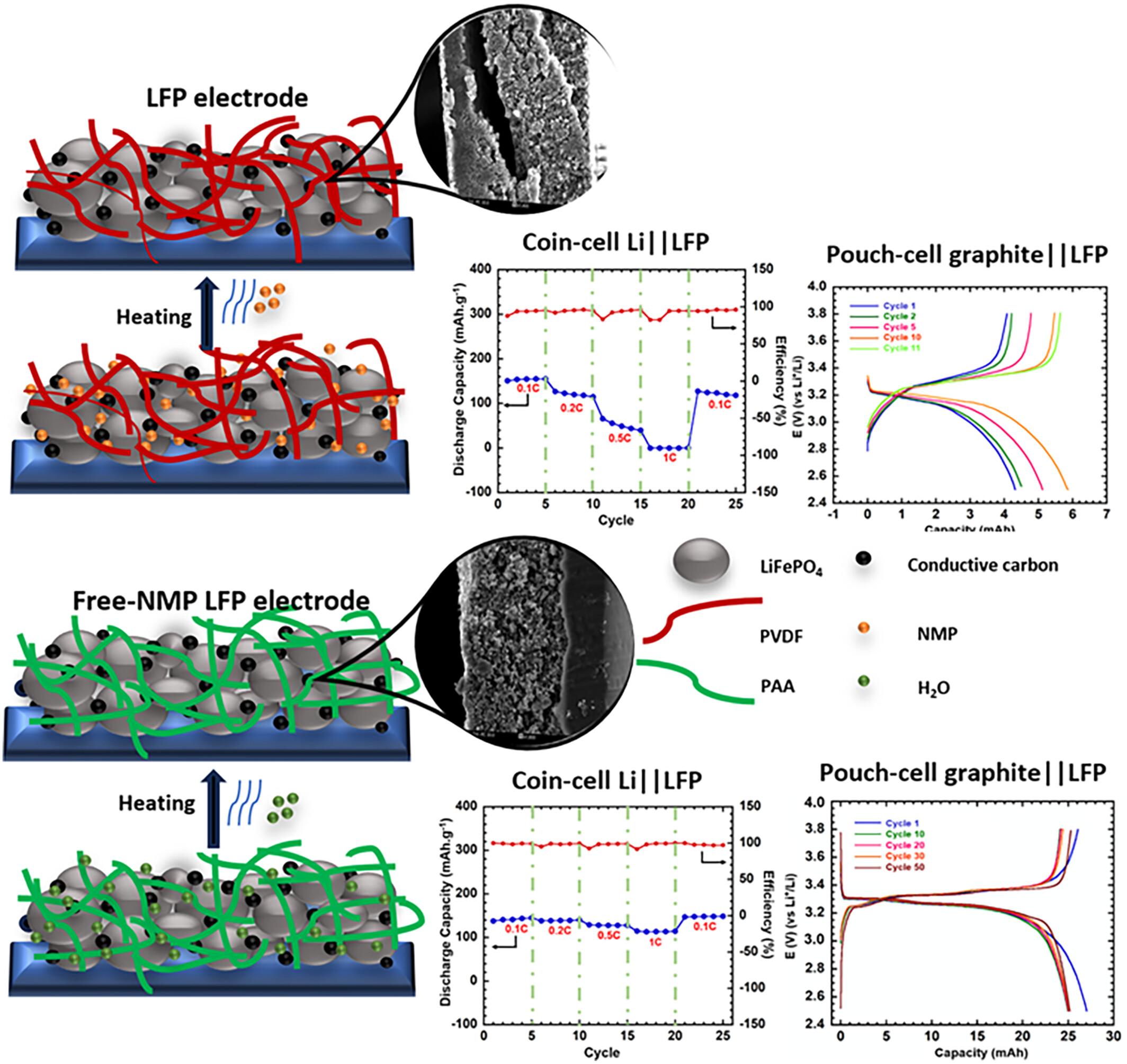 Investigation of an eco-friendly polyacrylic acid binder system on LiFePO4 cathode electrode processing to enhance the performance of coin-cell and pouch-cell graphite||LiFePO4 batteries