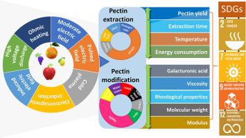 Sustainable electrical-based technologies for extraction and modification of pectin from agri-food waste