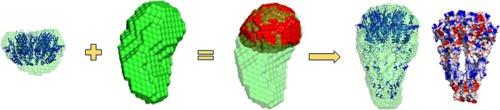 A glimpse into the hidden world of the flexible C-terminal protein binding domains of human RAD52