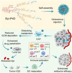 Dendritic nanomedicine enhances chemo-immunotherapy by disturbing metabolism of cancer-associated fibroblasts for deep penetration and activating function of immune cells