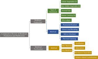 Comparative review of biodiesel production and purification