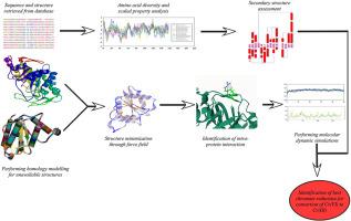 Insilico sequence-structure based analysis of bacterial chromate reductase to unravel enzymatic specificity towards chromium pollution