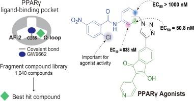 Decoration of GW9662 scaffold with a fragment-like hit via copper-catalyzed azide-alkyne cycloaddition reaction into peroxisome proliferator-activated receptor γ agonists