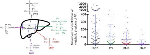 Probing and gauging of D-Penicillamine xenobiotics in hepatic Wilson disease patients