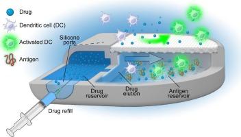 Prophylactic and therapeutic cancer vaccine with continuous localized immunomodulation