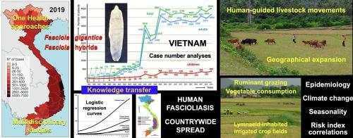 A multidisciplinary analysis of over 53,000 fascioliasis patients along the 1995–2019 countrywide spread in Vietnam defines a new epidemiological baseline for One Health approaches