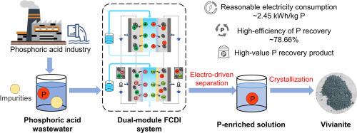 Efficient phosphorus recovery from simulated phosphoric acid wastewater using a tailored dual-module flow electrode capacitive deionization (FCDI) strategy